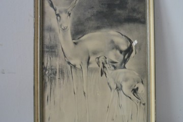 338ec765 4e4c 471e 9975 af920783bef2