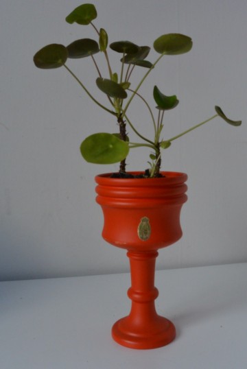 393ac535 2f87 403d bbee 98d6c46b4eb4