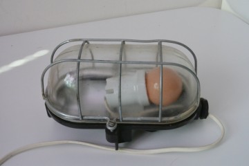 4fa56fa1 f053 4dd7 992f ca399716cdde