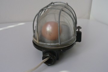 610cd8f1 c4ea 4e50 bf61 0e8b49335b7a