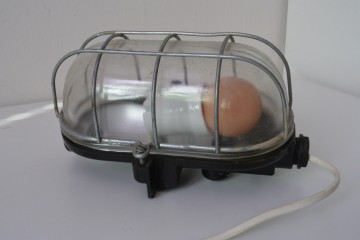 8488231a 012c 4e52 8346 6ff5e5678f15