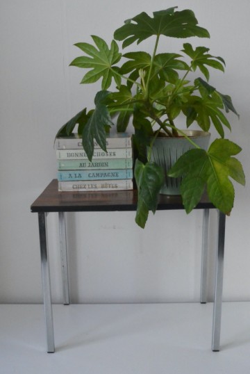 E683a361 c6d8 4fca 8aef c65576bca3dd