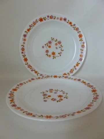 2 Retro Arcopal platte borden, design Scania